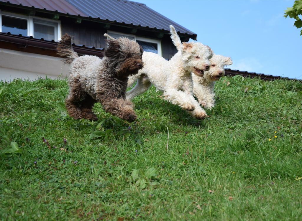 Guest House Lagotto'S Peak Radatovici Exterior photo