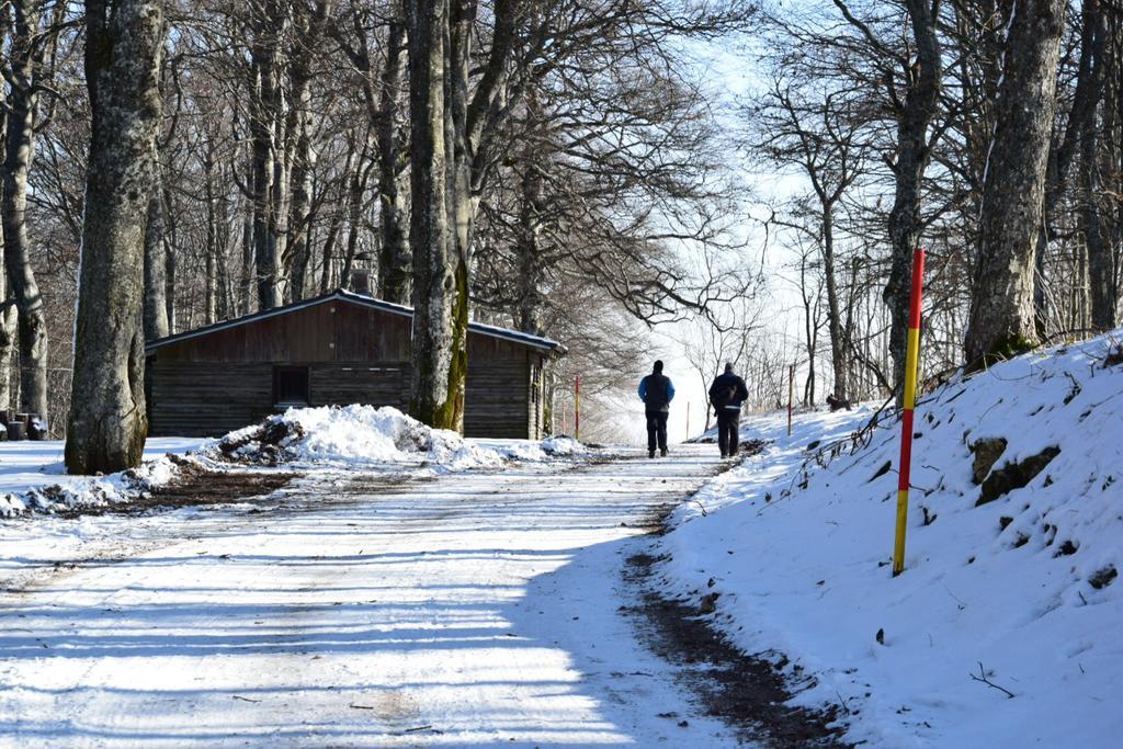 Guest House Lagotto'S Peak Radatovici Exterior photo